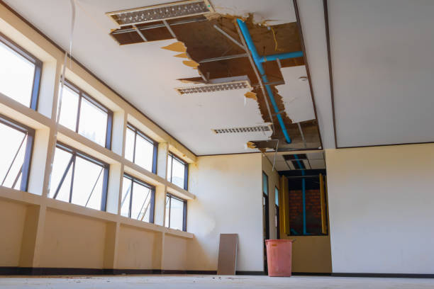 Best Mold removal after water damage  in Mackinac Island, MI