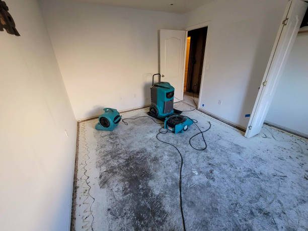 Best Local water damage restoration  in Mackinac Island, MI