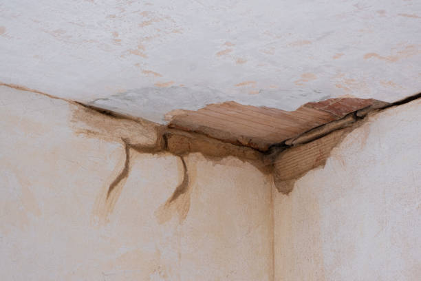 Best Water damage cleanup near me  in Mackinac Island, MI