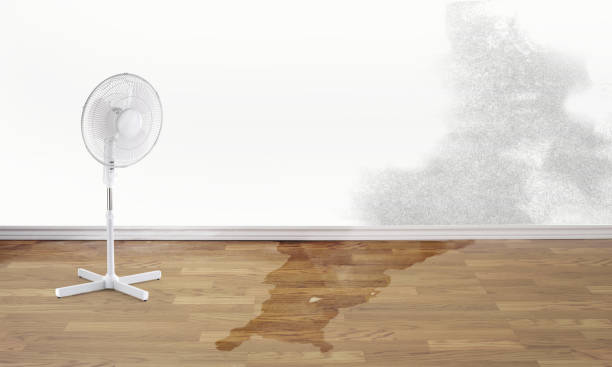 Local water damage restoration in Mackinac Island, MI
